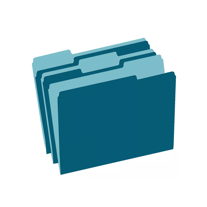 1/3 Cut Tab Manila Folder